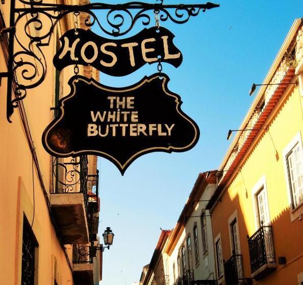 Hostel The White Butterfly