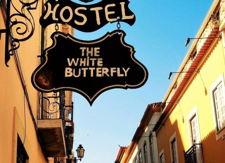 Hostel The White Butterfly