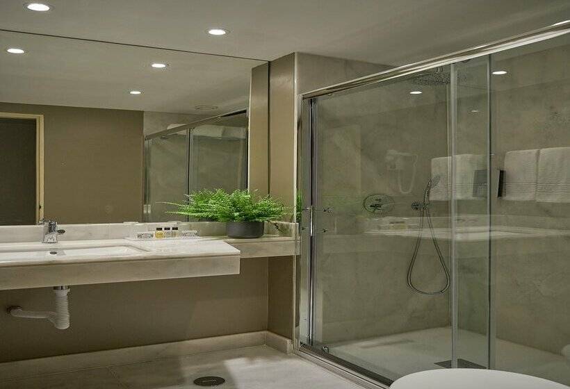 Fotos del hotel Dom Carlos Park:  100