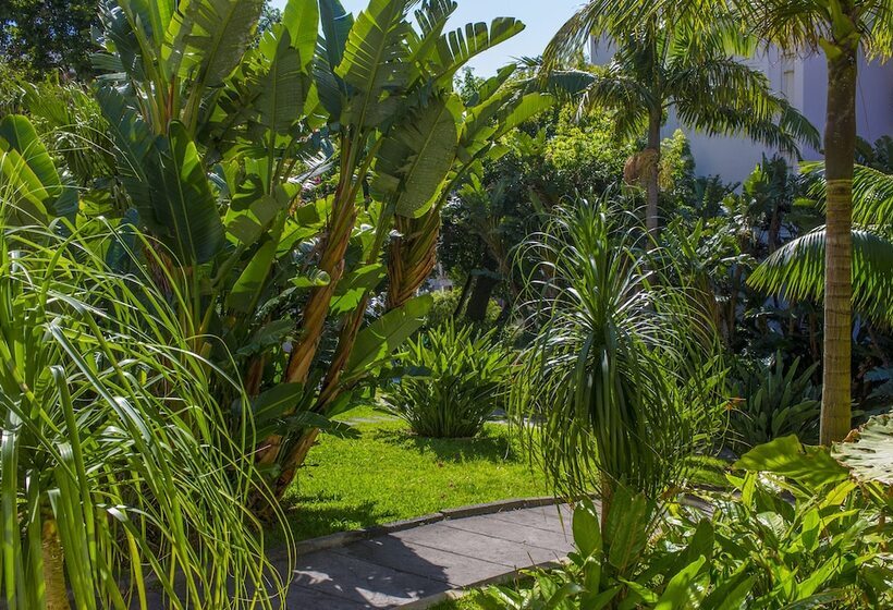 Fotos del hotel Dorisol Estrelicia:  51