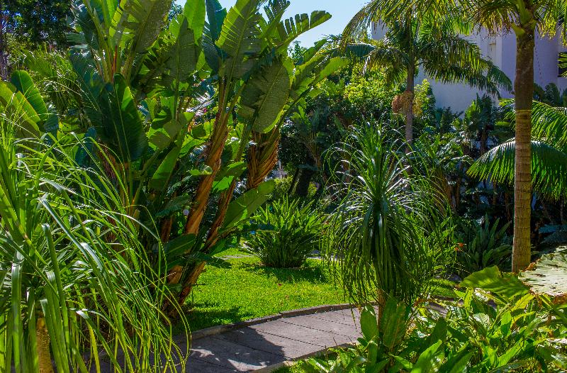 Fotos del hotel Dorisol Estrelicia:  33