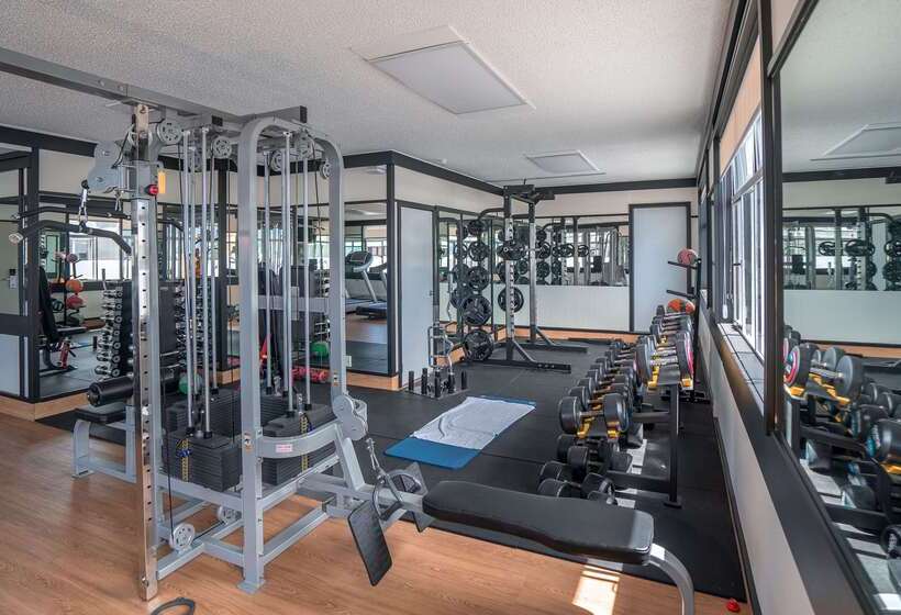 Fotos del hotel Scenic Hotel Southern Cross:  35
