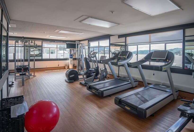 Fotos del hotel Scenic Hotel Southern Cross:  36