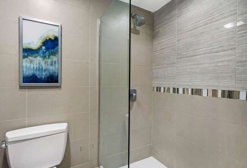 Fotos del hotel Comfort Inn San Juan:  60