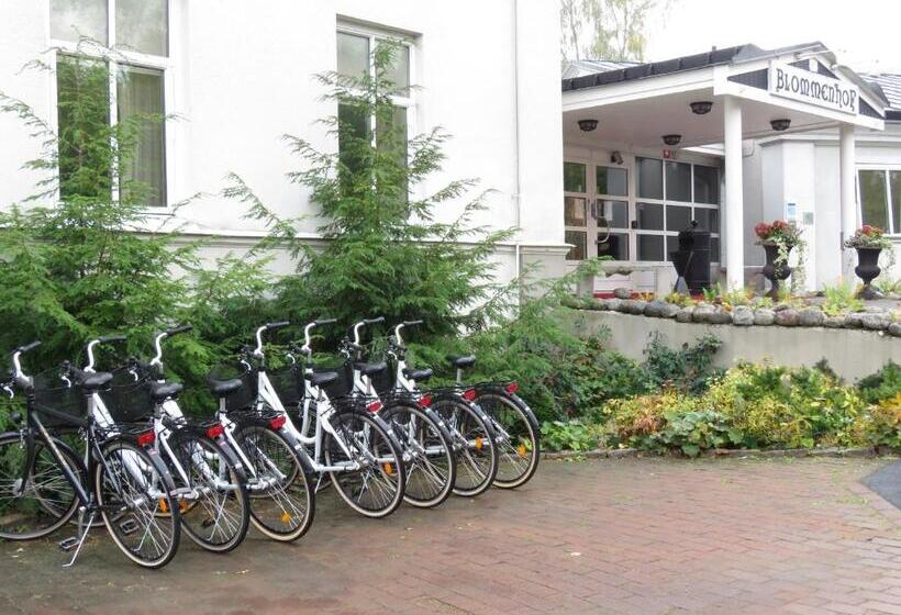هتل Blommenhof