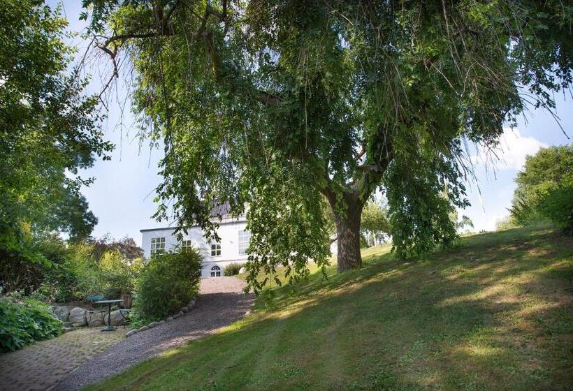 هتل Blommenhof