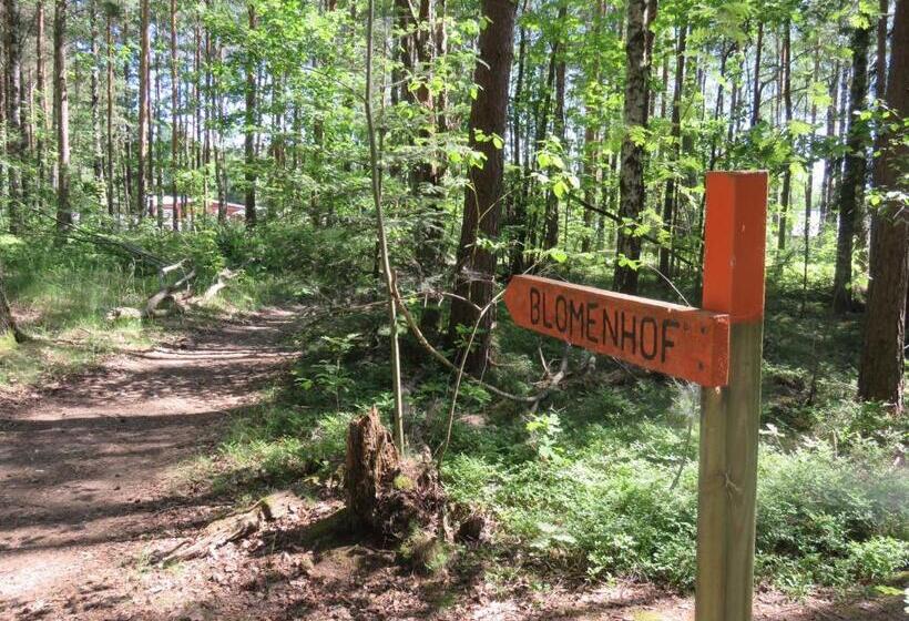 هتل Blommenhof