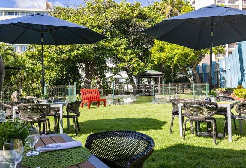 Fotos del hotel Caribe Hilton:  8