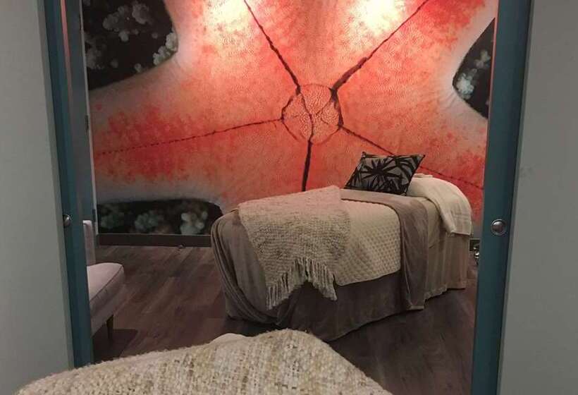 Fotos del hotel Caribe Hilton:  14