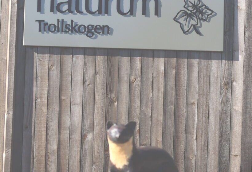 هتل L Borgholm