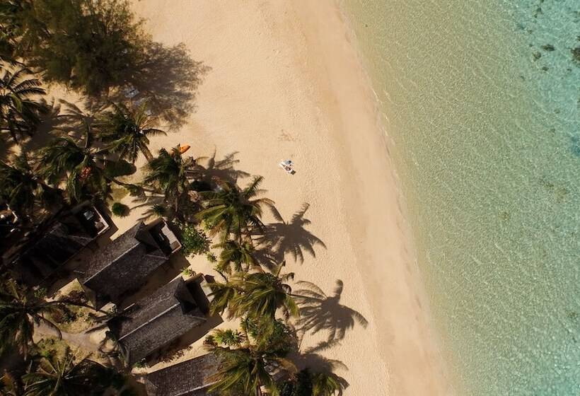 هتل Palm Grove