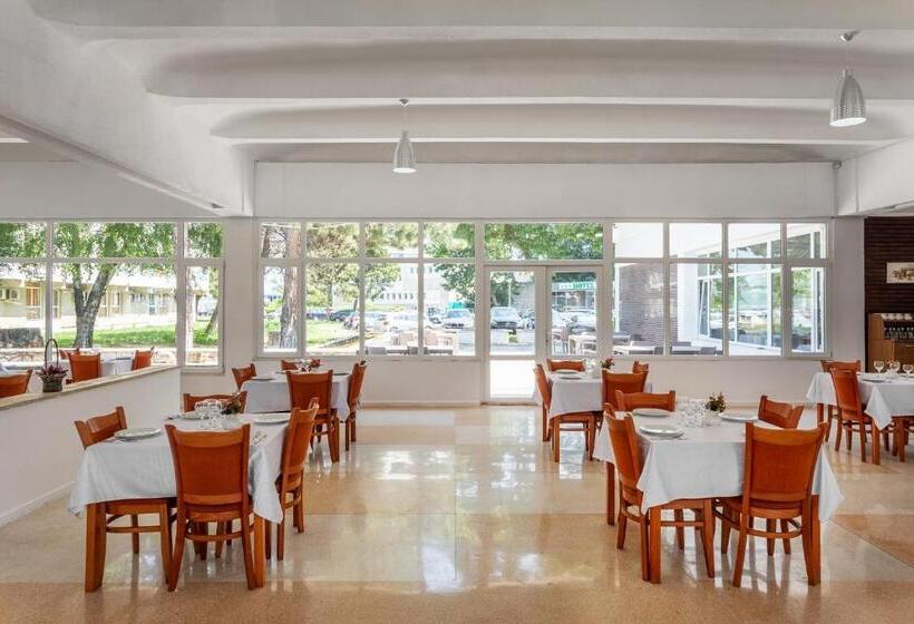 Hotel Siret Saturn