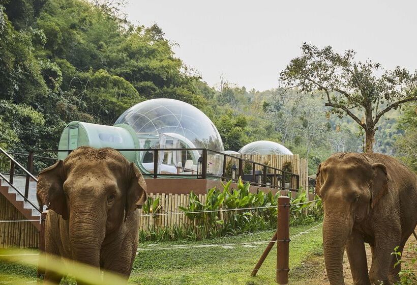 هتل Anantara Golden Triangle Elephant Camp & Resort