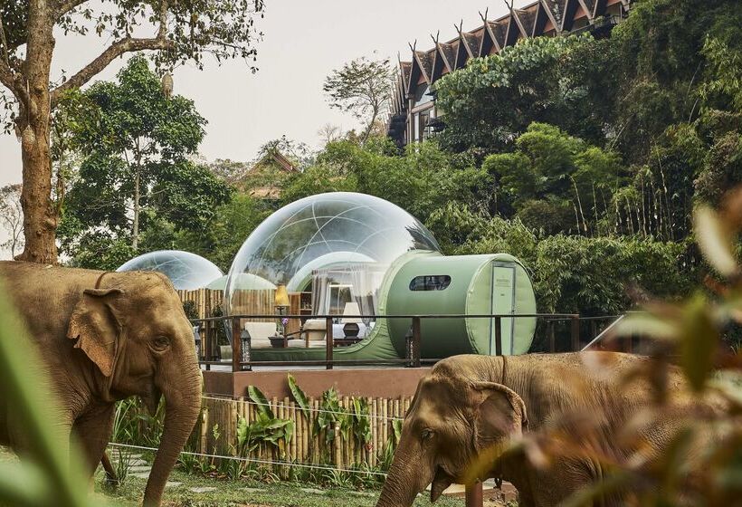 فندق Anantara Golden Triangle Elephant Camp & Resort