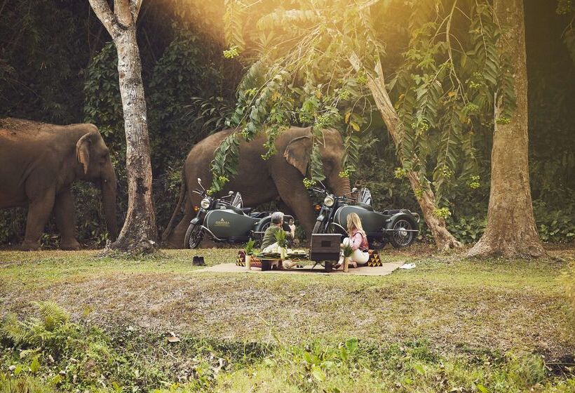 فندق Anantara Golden Triangle Elephant Camp & Resort