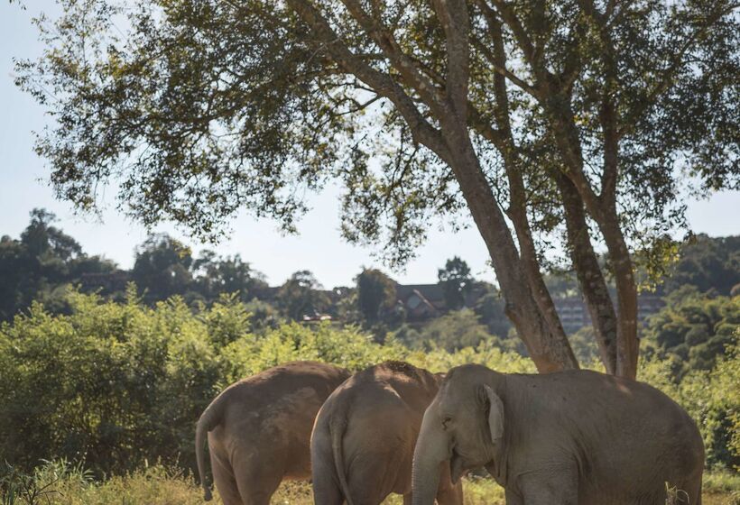 هتل Anantara Golden Triangle Elephant Camp & Resort