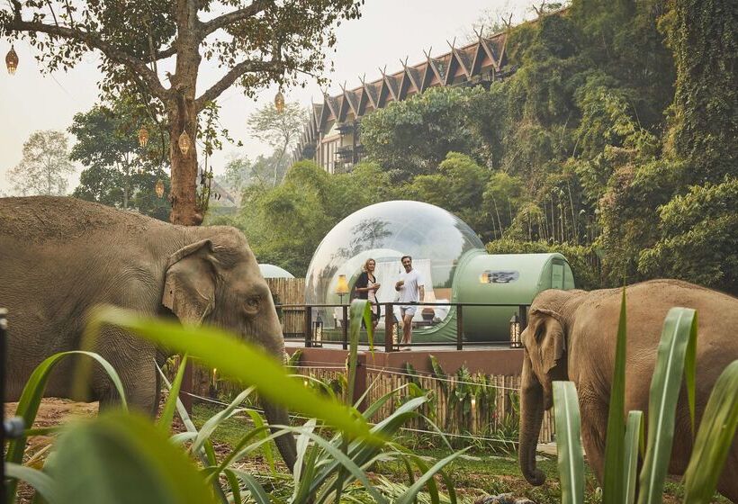 فندق Anantara Golden Triangle Elephant Camp & Resort