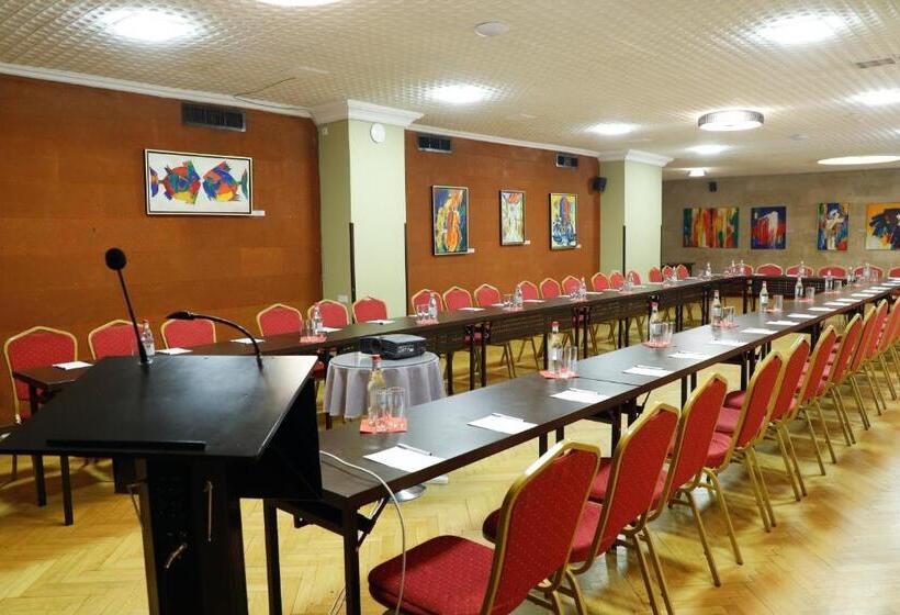 Fotos del hotel Ani Plaza:  20