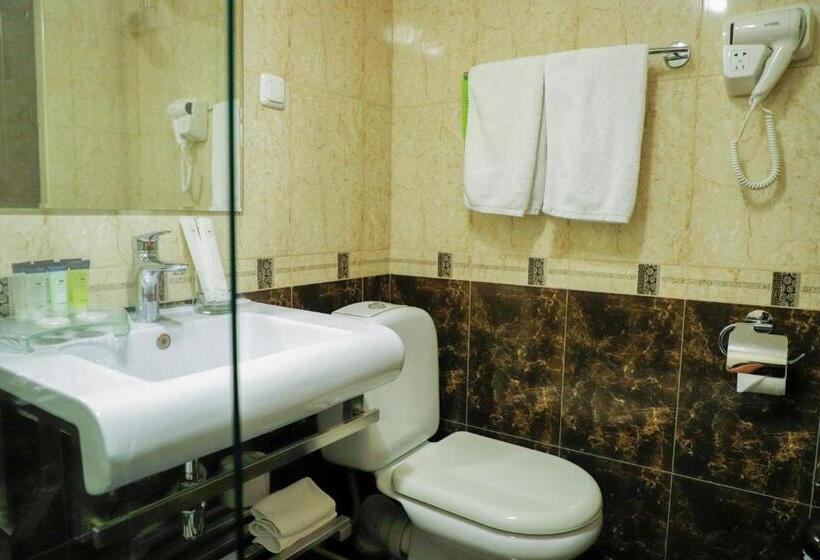 Fotos del hotel Ani Plaza:  8
