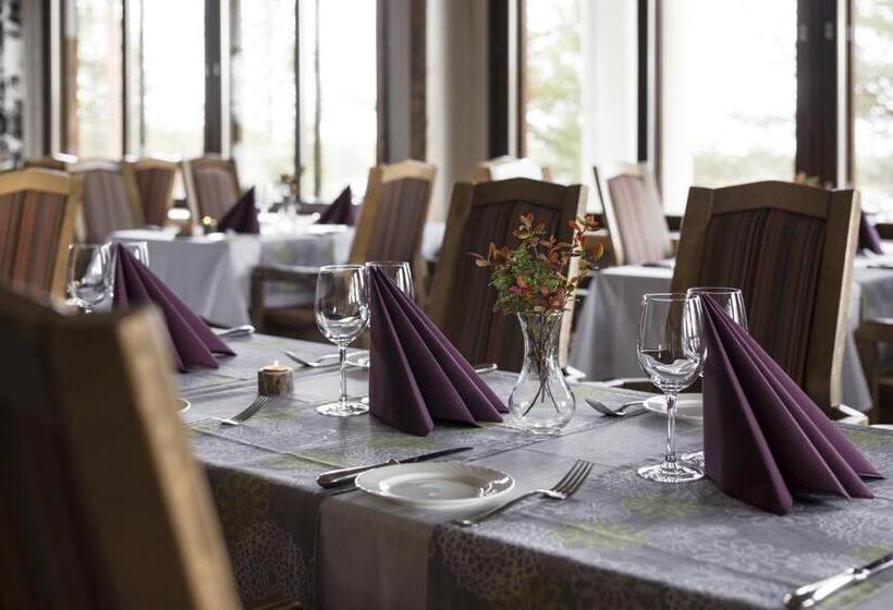 Fotos del hotel Lapland S Hetta:  8