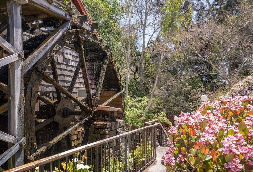 בית מלון כפרי Apple Farm Inn