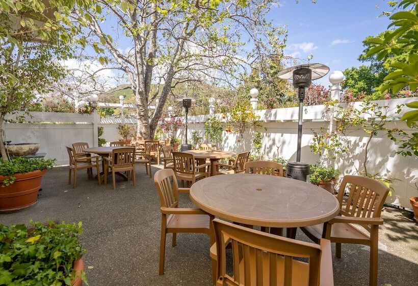 בית מלון כפרי Apple Farm Inn