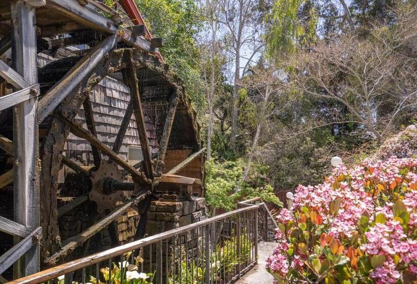 בית מלון כפרי Apple Farm Inn