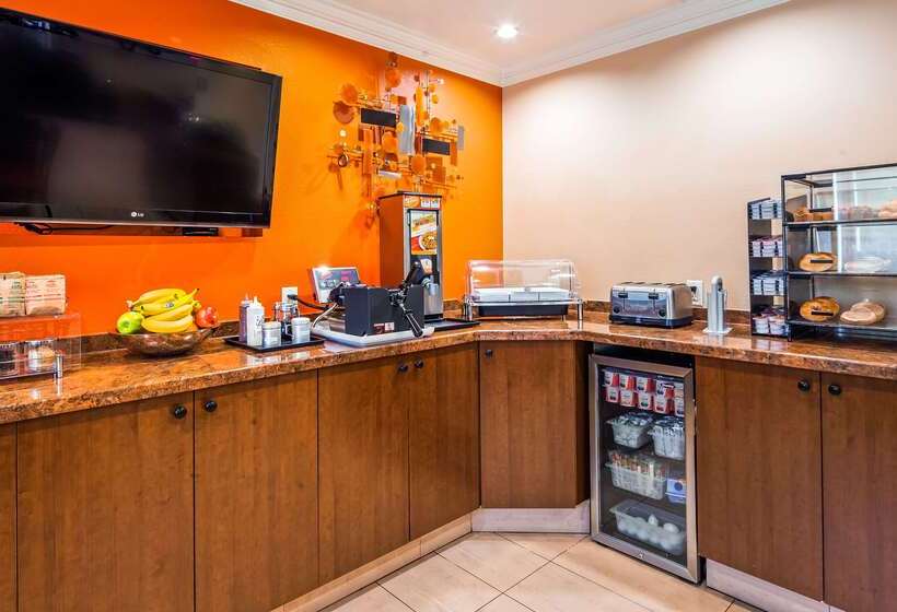 בית מלון כפרי Best Western Plus Airport Plaza
