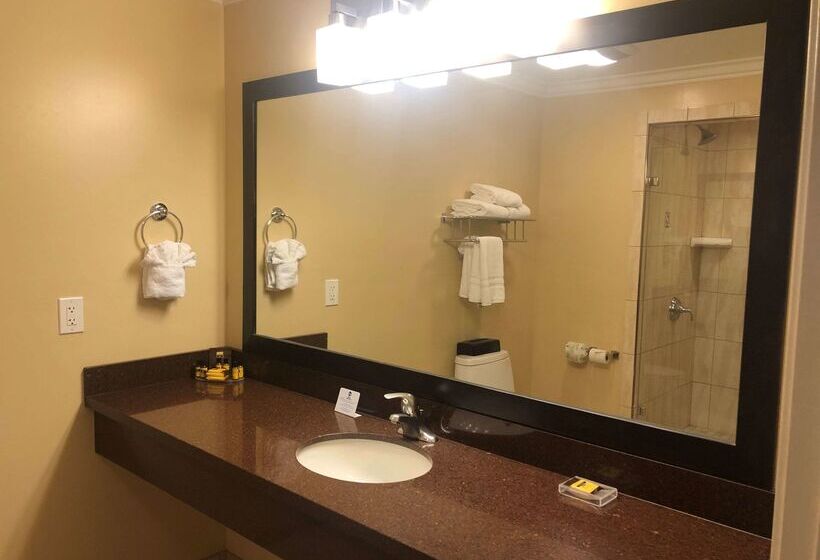 هتل Best Western Plus Airport Plaza