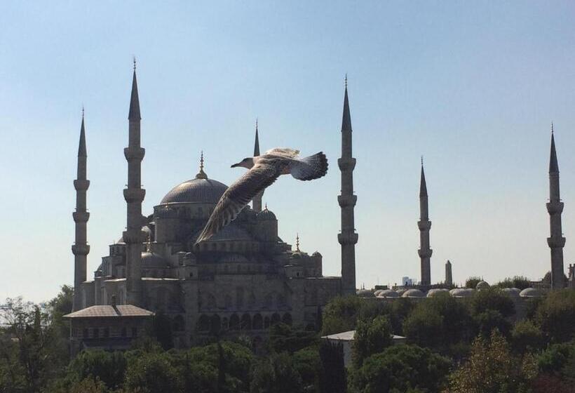 Fotos del hotel Kalyon Hotel Istanbul:  23