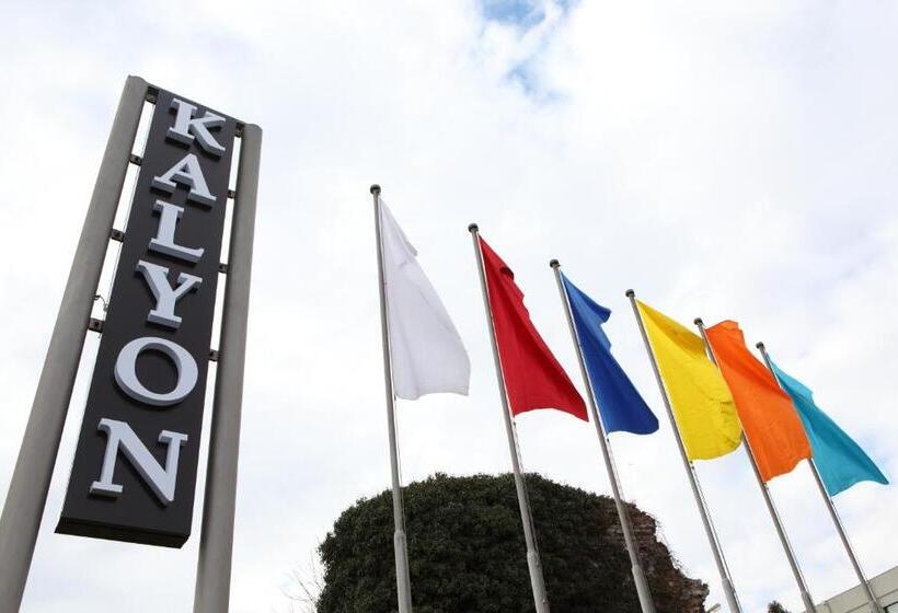 Fotos del hotel Kalyon Hotel Istanbul:  45