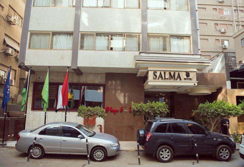 Fotos del hotel Salma Hotel Cairo:  55