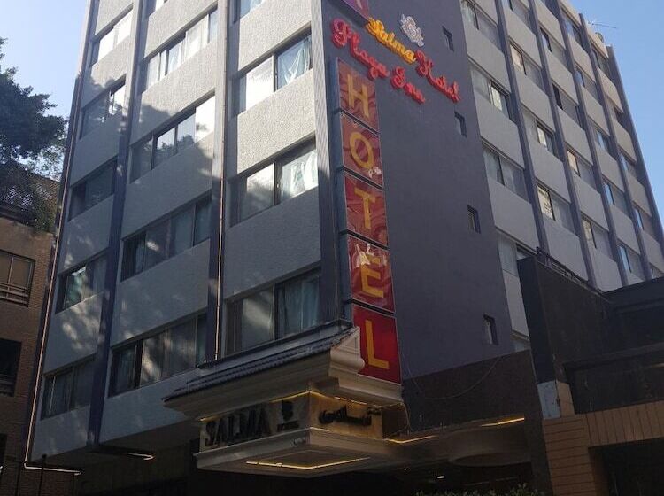 Fotos del hotel Salma Hotel Cairo:  54