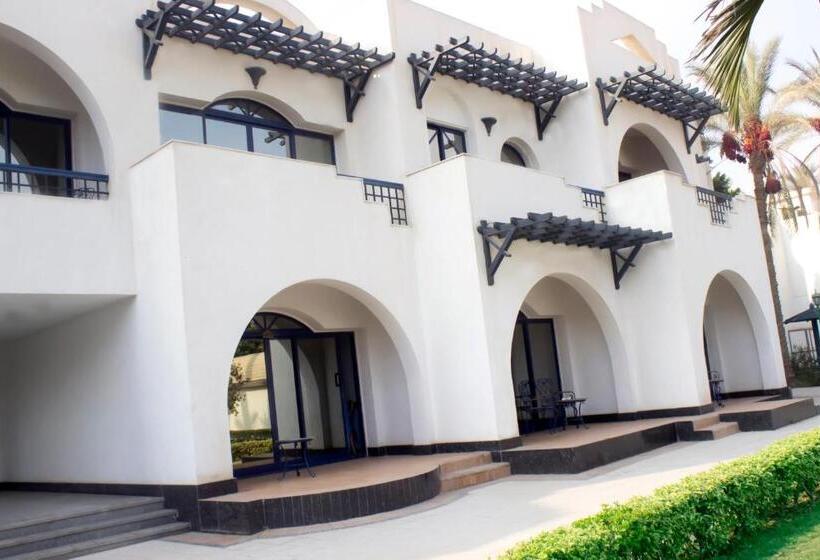 Fotos del hotel The Oasis Hotel Pyramids:  28