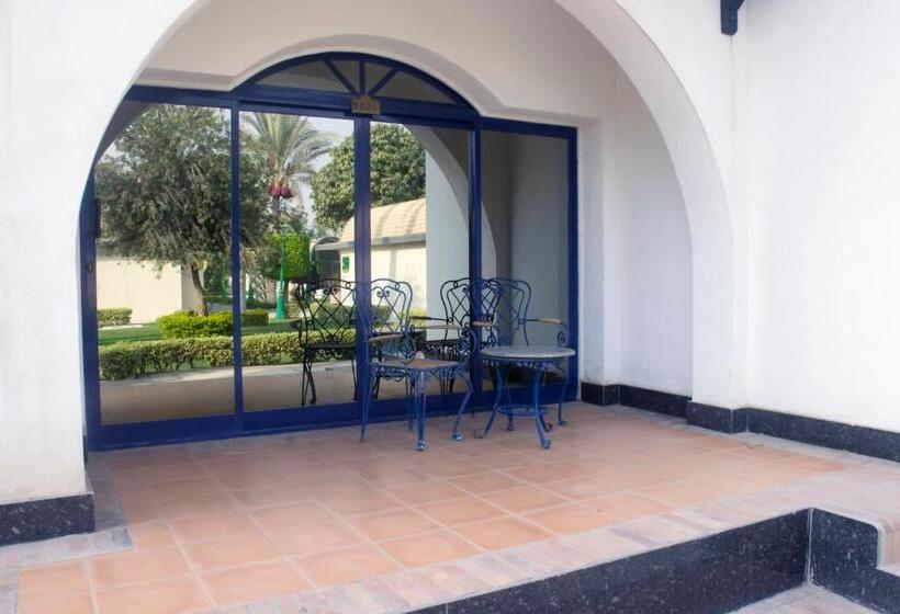 Fotos del hotel The Oasis Hotel Pyramids:  22