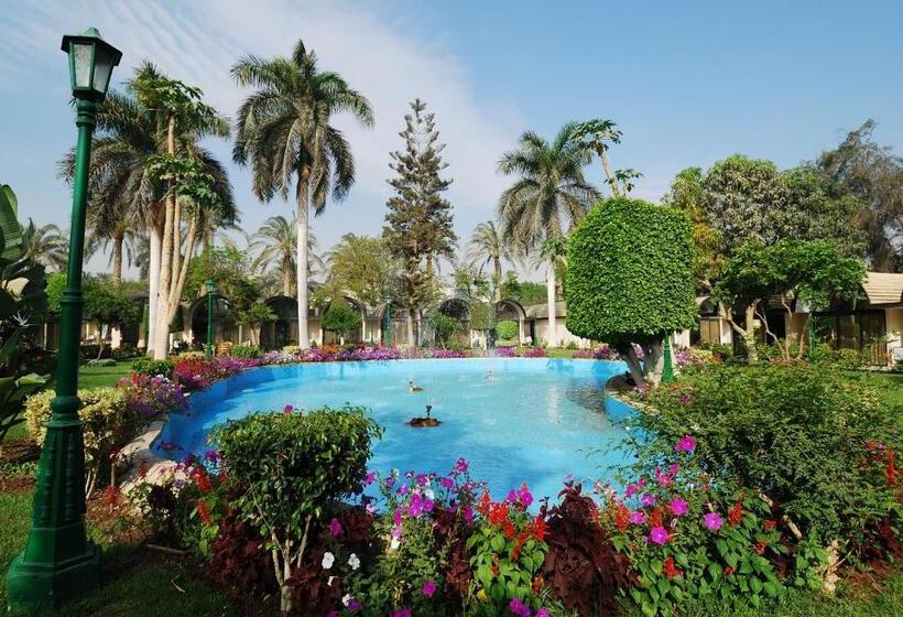 Fotos del hotel The Oasis Hotel Pyramids:  9