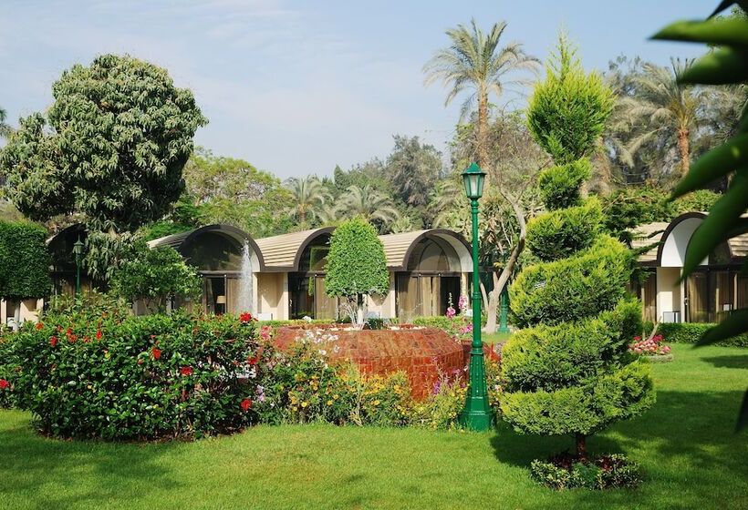 Fotos del hotel The Oasis Hotel Pyramids:  38