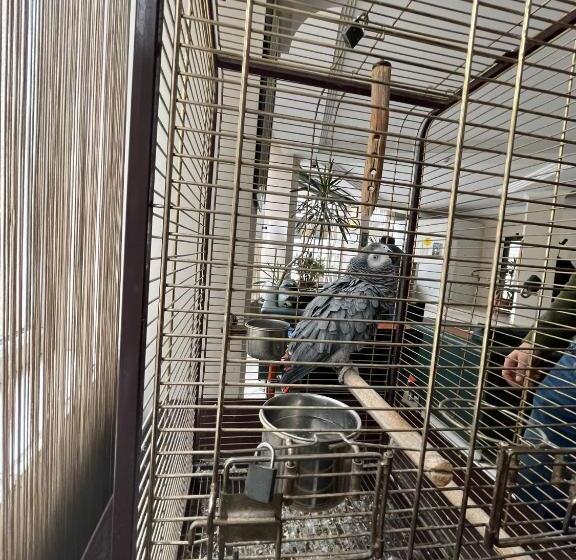 Fotos del hotel Topkap?:  25