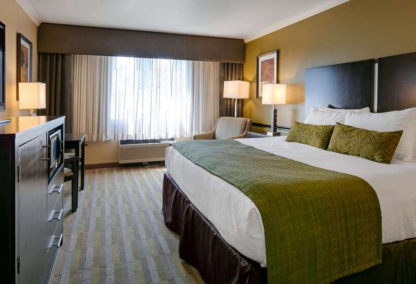 酒店 Best Western Canoga Park Motor Inn