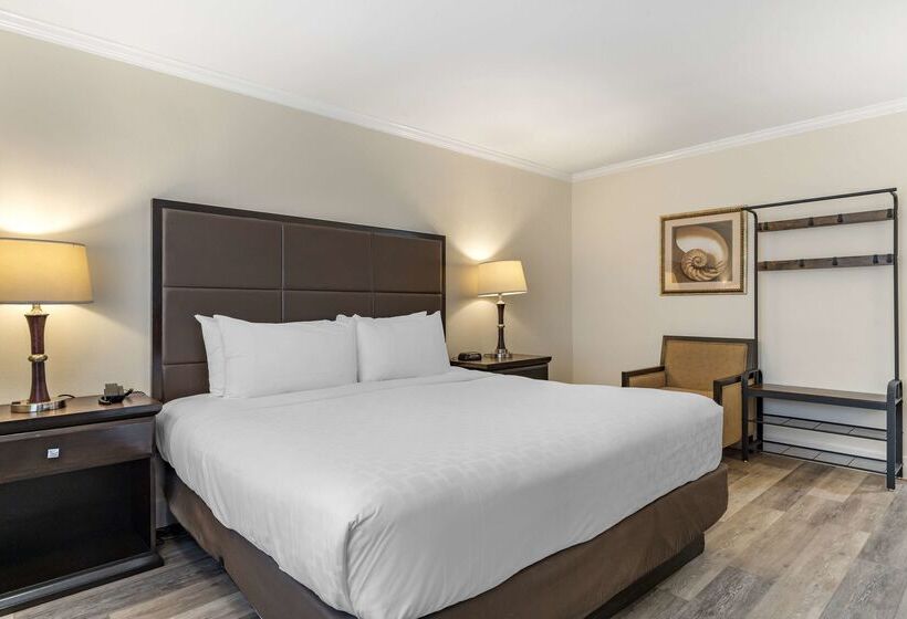 هتل Best Western Carmels Town House Lodge