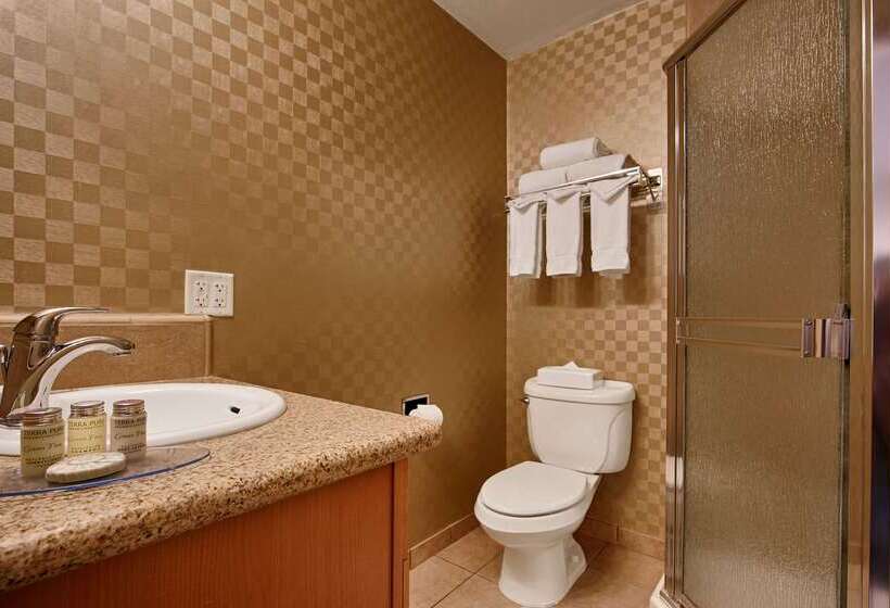 هتل Best Western De Anza Inn