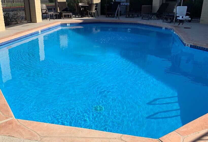 فندق Best Western Desert Oasis