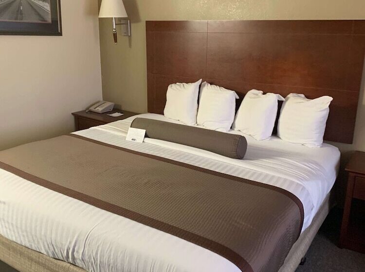 호텔 Best Western Desert Oasis
