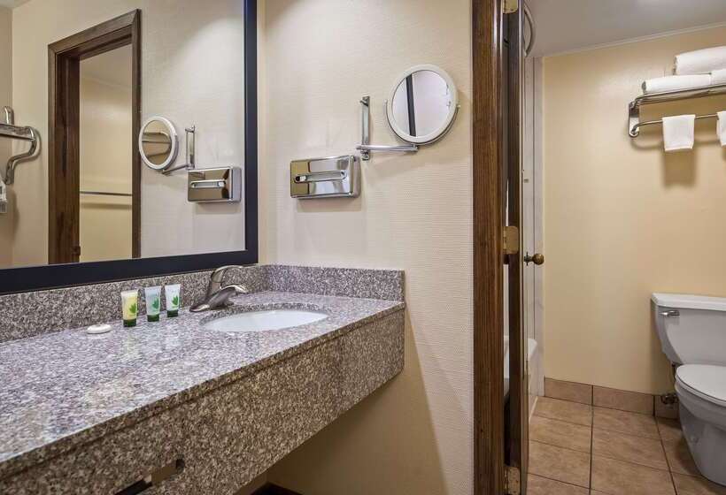 酒店 Best Western Inn Of St. Charles