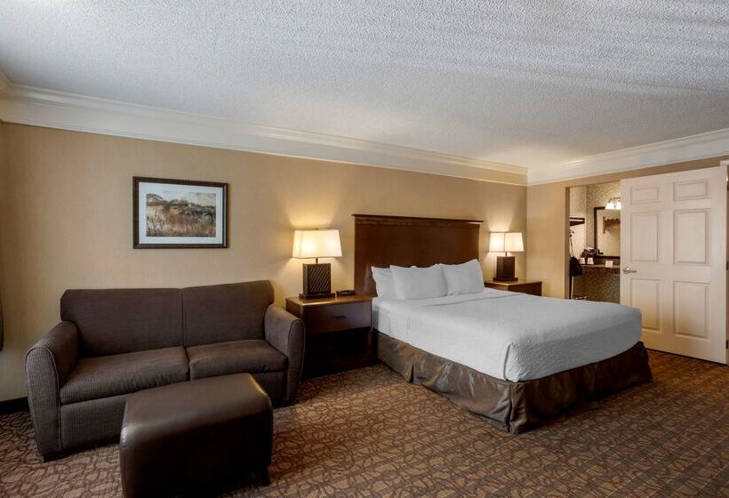 هتل Best Western Inn Of The Ozarks