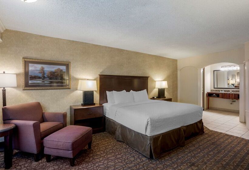 هتل Best Western Inn Of The Ozarks