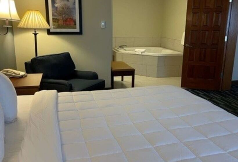 هتل Best Western Inn