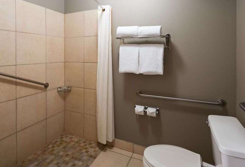 Fotos del hotel Best Western Mccarran Inn:  15