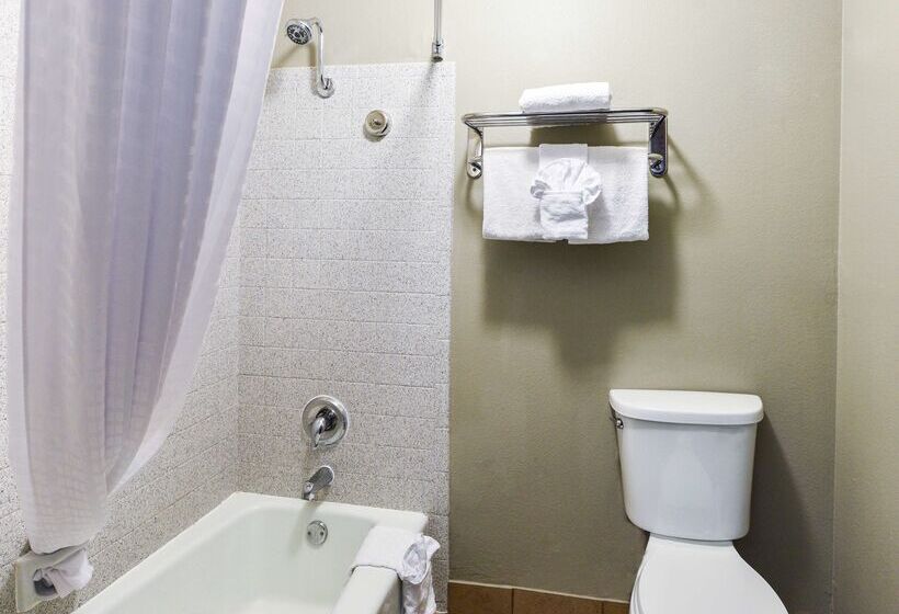 Fotos del hotel Best Western Mccarran Inn:  14