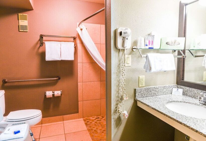 Fotos del hotel Best Western Mccarran Inn:  21